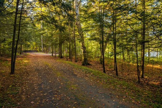 Spectacular Lake Placid Building Lot