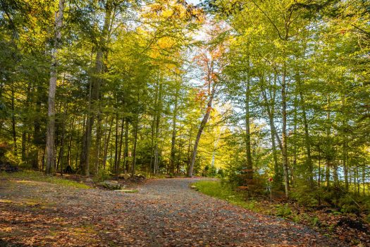 Spectacular Lake Placid Building Lot