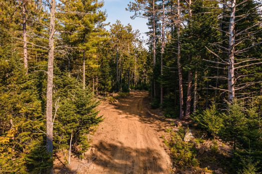 Exceptional Building Lot