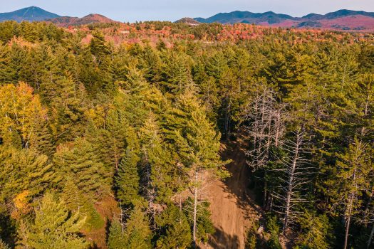 Exceptional Building Lot