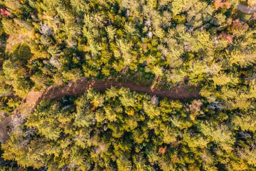 Exceptional Building Lot