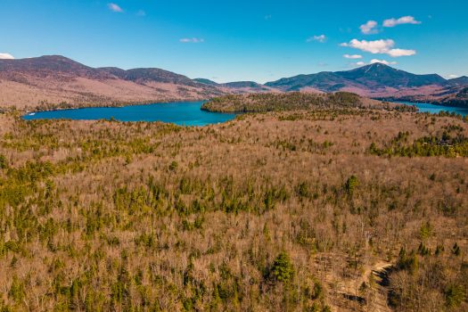 Premier Development Site