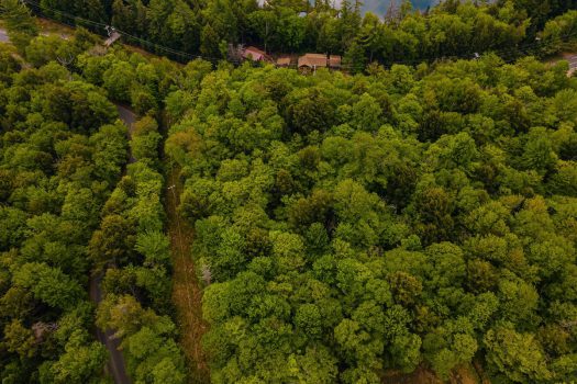 Vacant Building Lot on Floodwood Road