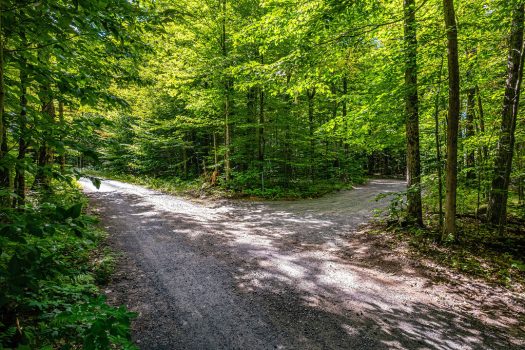 10 Ravens Way, Lake Placid