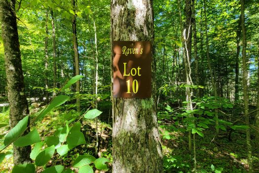 10 Ravens Way, Lake Placid