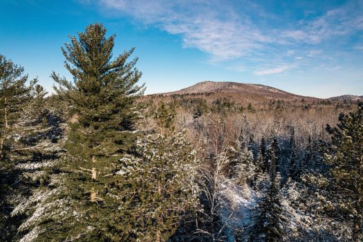 Vacant Lot, Davin Lane