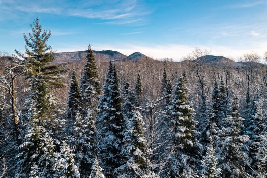 Vacant Lot, Davin Lane