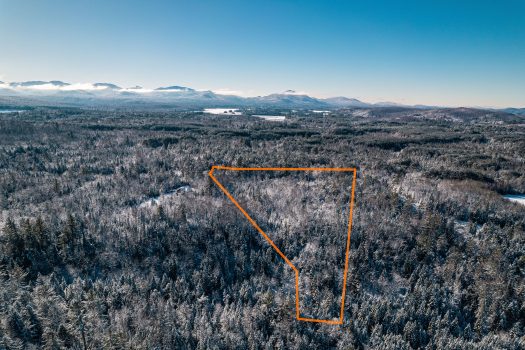 Vacant Lot, Davin Lane