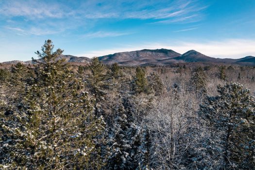 Vacant Lot, Davin Lane