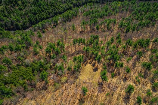 14.4 Acres in Wilmington