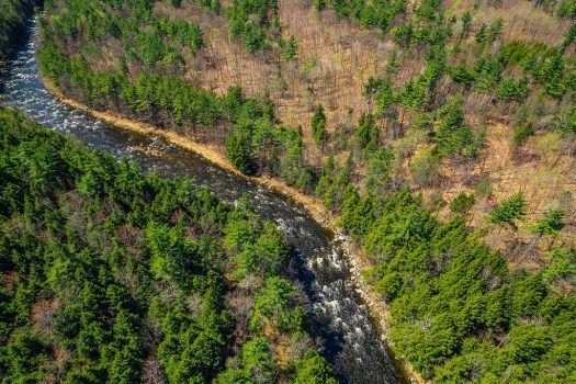 14.4 Acres in Wilmington