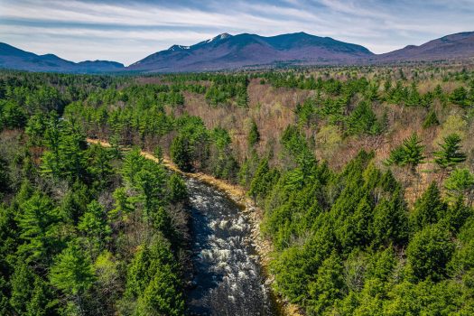 14.4 Acres in Wilmington