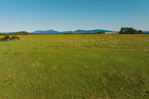 18 Tansy Lane, Gabriels