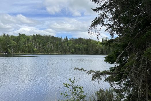 2 Acre Lot on Charlie Pond