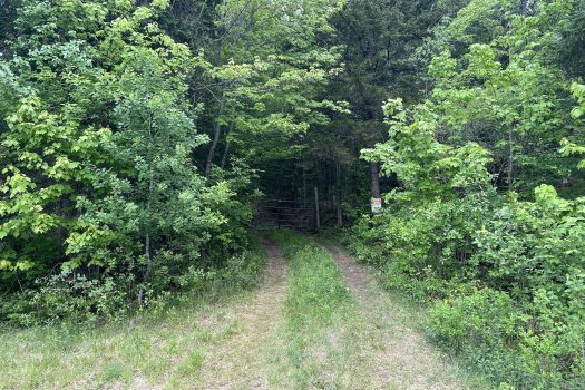 2 Acre Lot on Charlie Pond