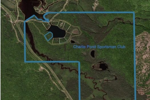 2 Acre Lot on Charlie Pond