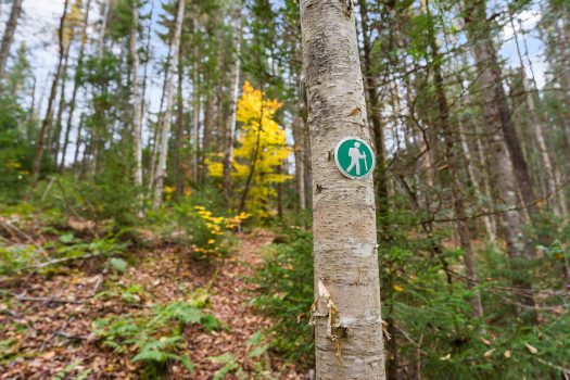 5 Building Lots in Lake Placid