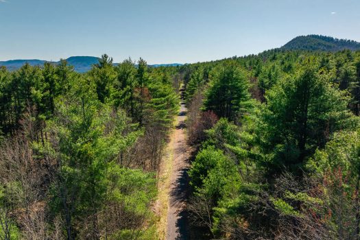 8 Acre Building Lot in Jay