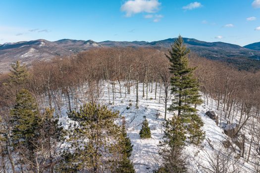 Hedgehog Way – 105 Acres