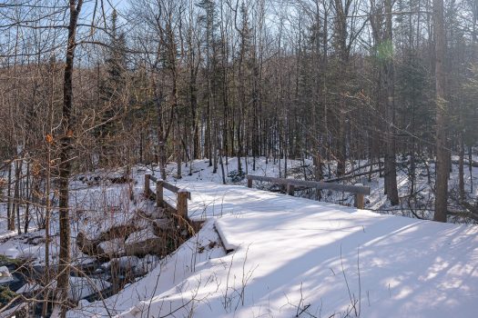 Hedgehog Way – 105 Acres