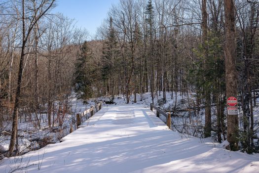 Hedgehog Way – 105 Acres