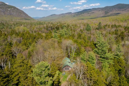 1147 Forestdale Rd