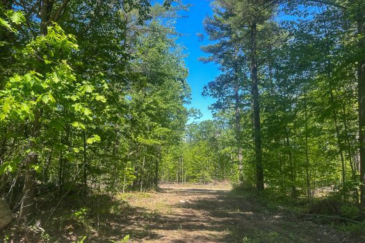 189 Acres in Peru