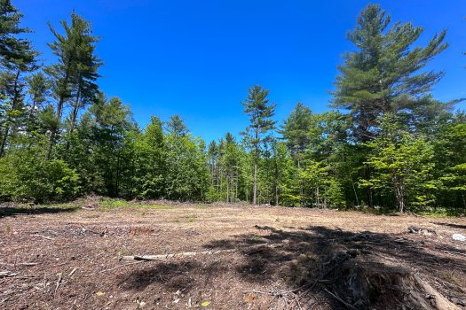 189 Acres in Peru