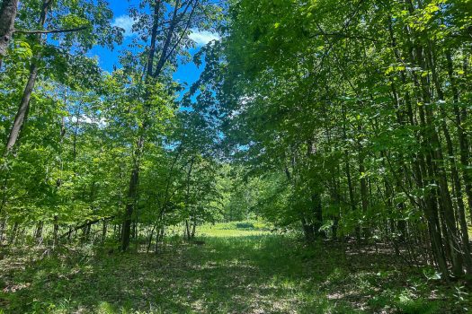 189 Acres in Peru