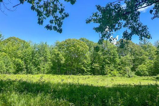 189 Acres in Peru