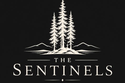 The Sentinels – New Construction
